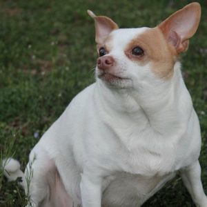 Meet your Posher, Connie